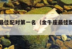 摩羯座最佳配对第一名（金牛座最佳配对第一名）