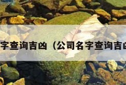 名字查询吉凶（公司名字查询吉凶）