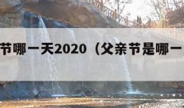 父亲节哪一天2020（父亲节是哪一天2020）