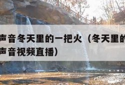 中国好声音冬天里的一把火（冬天里的一把火中国好声音视频直播）