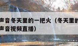 中国好声音冬天里的一把火（冬天里的一把火中国好声音视频直播）