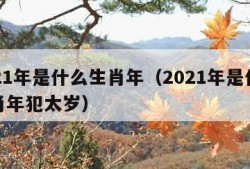 2021年是什么生肖年（2021年是什么生肖年犯太岁）