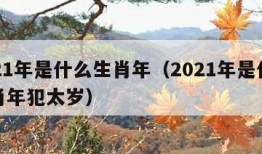 2021年是什么生肖年（2021年是什么生肖年犯太岁）