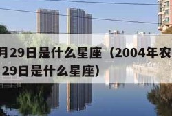 12月29日是什么星座（2004年农历12月29日是什么星座）