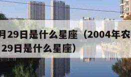 12月29日是什么星座（2004年农历12月29日是什么星座）