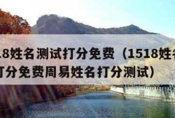 1518姓名测试打分免费（1518姓名测试打分免费周易姓名打分测试）