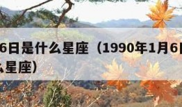 1月6日是什么星座（1990年1月6日是什么星座）