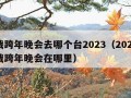 肖战跨年晚会去哪个台2023（2021年肖战跨年晚会在哪里）