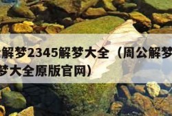 周公解梦2345解梦大全（周公解梦2345解梦大全原版官网）