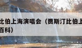 贾斯汀比伯上海演唱会（贾斯汀比伯上海演唱会百度百科）