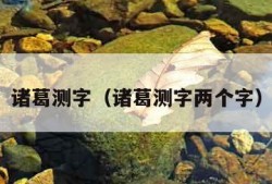 诸葛测字（诸葛测字两个字）