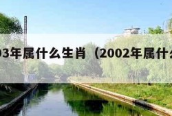 2003年属什么生肖（2002年属什么生肖）