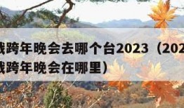 肖战跨年晚会去哪个台2023（2021年肖战跨年晚会在哪里）