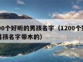 1200个好听的男孩名字（1200个好听的男孩名字带木的）