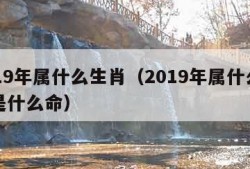 2019年属什么生肖（2019年属什么生肖是什么命）