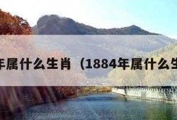 84年属什么生肖（1884年属什么生肖）