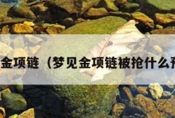 梦见金项链（梦见金项链被抢什么预兆）