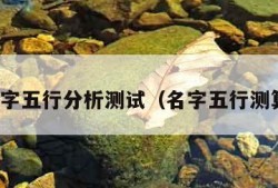 名字五行分析测试（名字五行测算）