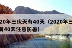 2020年三伏天有40天（2020年三伏天有40天注意防暑）