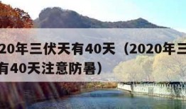 2020年三伏天有40天（2020年三伏天有40天注意防暑）