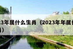 2023年属什么生肖（2023年年属什么生肖）