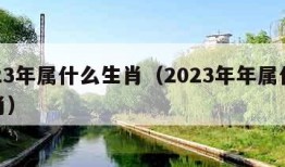 2023年属什么生肖（2023年年属什么生肖）