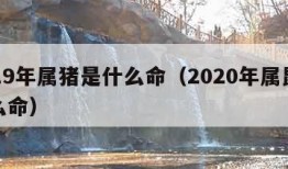 2019年属猪是什么命（2020年属鼠是什么命）