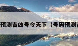 号码预测吉凶号令天下（号码预测吉凶）