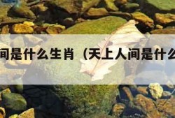 天上人间是什么生肖（天上人间是什么生肖啊）