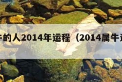 属牛的人2014年运程（2014属牛运势）