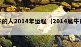 属牛的人2014年运程（2014属牛运势）