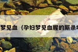 孕妇梦见血（孕妇梦见血腥的厮杀场面）