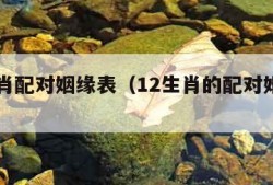 12生肖配对姻缘表（12生肖的配对婚姻配对）