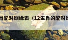 12生肖配对姻缘表（12生肖的配对婚姻配对）