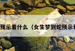 梦到蛇预示着什么（女生梦到蛇预示着什么）