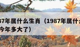 1987年属什么生肖（1987年属什么生肖 今年多大了）