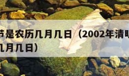 清明节是农历几月几日（2002年清明节是农历几月几日）