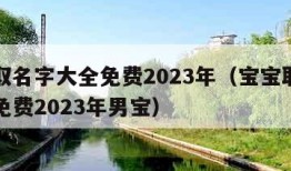 宝宝取名字大全免费2023年（宝宝取名字大全免费2023年男宝）