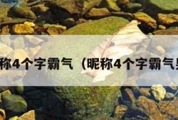 昵称4个字霸气（昵称4个字霸气男）