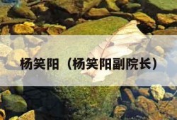 杨笑阳（杨笑阳副院长）