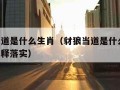 豺狼当道是什么生肖（豺狼当道是什么生肖,成语解释落实）