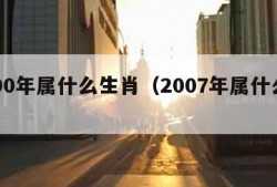 2000年属什么生肖（2007年属什么生肖）