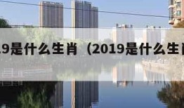 2019是什么生肖（2019是什么生肖啊）