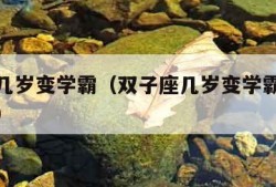 双子座几岁变学霸（双子座几岁变学霸秭君八字资讯）