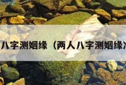 两人八字测姻缘（两人八字测姻缘准吗）