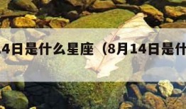 9月14日是什么星座（8月14日是什么星座）