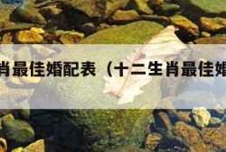 十二生肖最佳婚配表（十二生肖最佳婚配表全解）