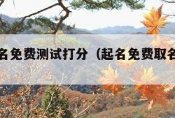 在线取名免费测试打分（起名免费取名打分测试）