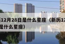 新历12月28日是什么星座（新历12月28号是什么星座）