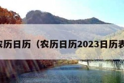 农历日历（农历日历2023日历表）